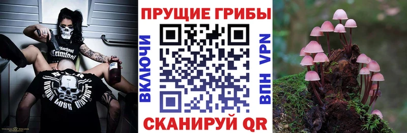 Псилоцибиновые грибы прущие грибы  Купить где  Баймак 